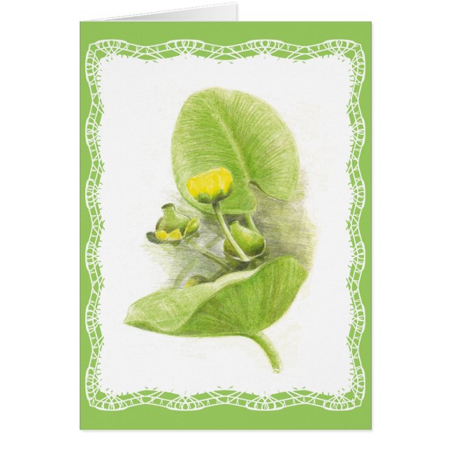 Lys de fleurs (Devant)