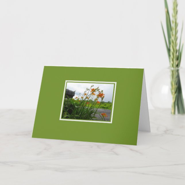 Lys de jour et carte blanche de boîte aux lettres (Devant)