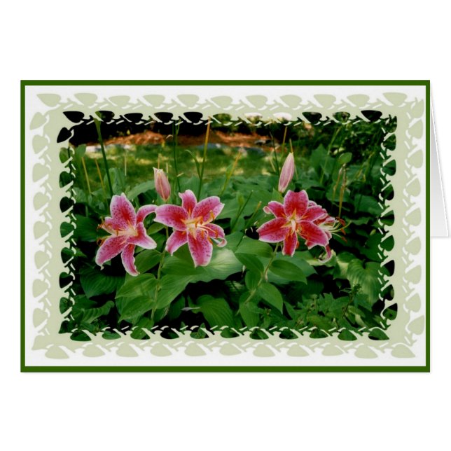 Lys roses (Devant horizontal)