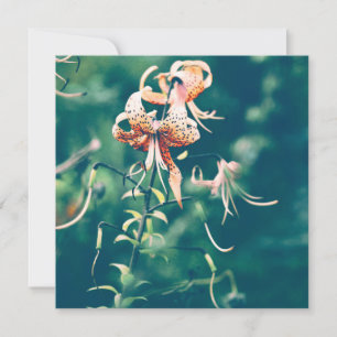 Lys tigres fleurissant en automne