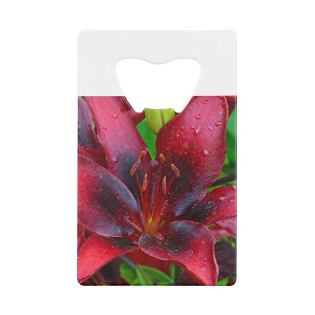 Lys tropicaux rouge (Devant)