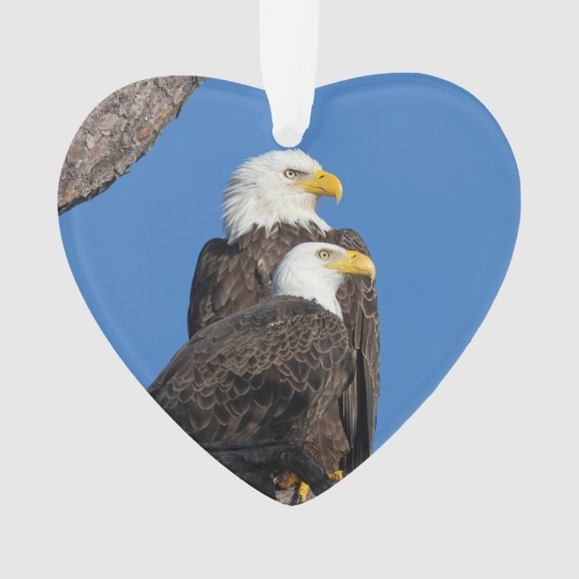 M15 & F23 Logo - Ornement de vacances (devant)