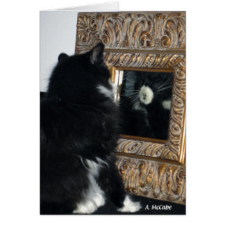 M. Bootee, par le psyché