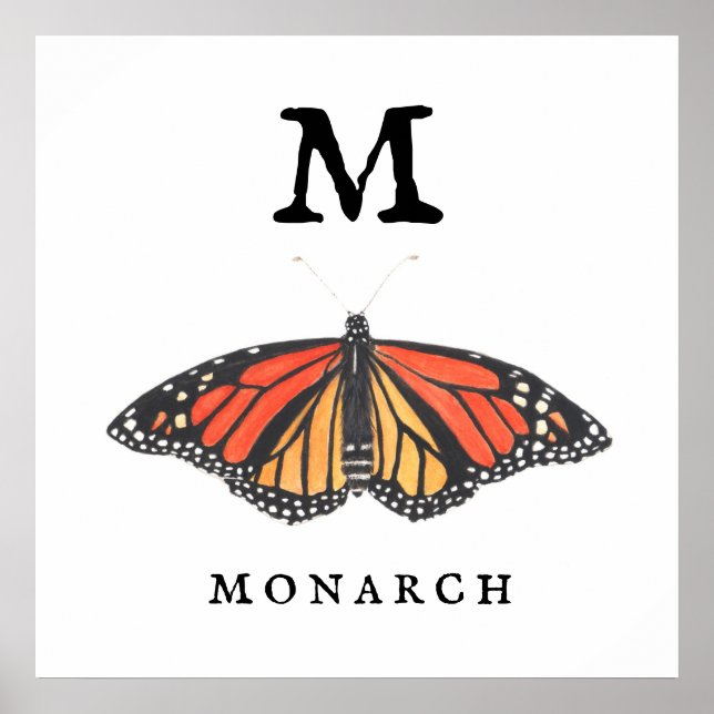 "M" for Monarch Print, Value Poster Paper (Matte) (Devant)