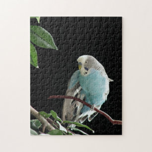 M. Jill Budgie Puzzle