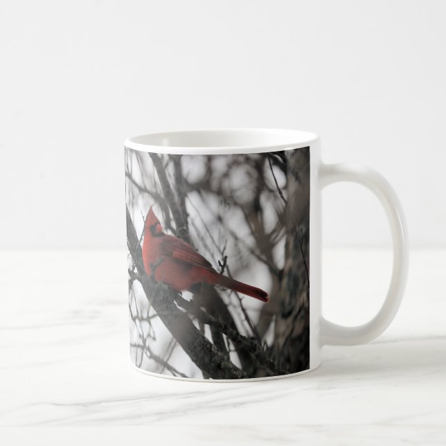 M. Mug (Droite)