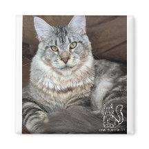 M. Puppy-Socks Magnet #4