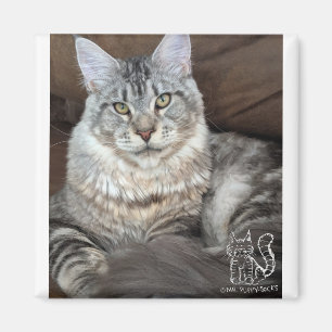 M. Puppy-Socks Magnet #4