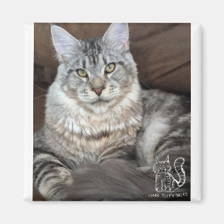 M. Puppy-Socks Magnet #4