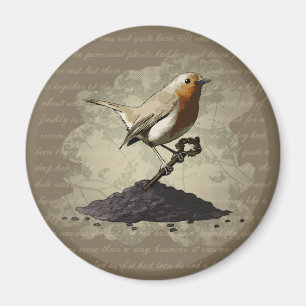 M. Robin Finds la clé, aimant rond