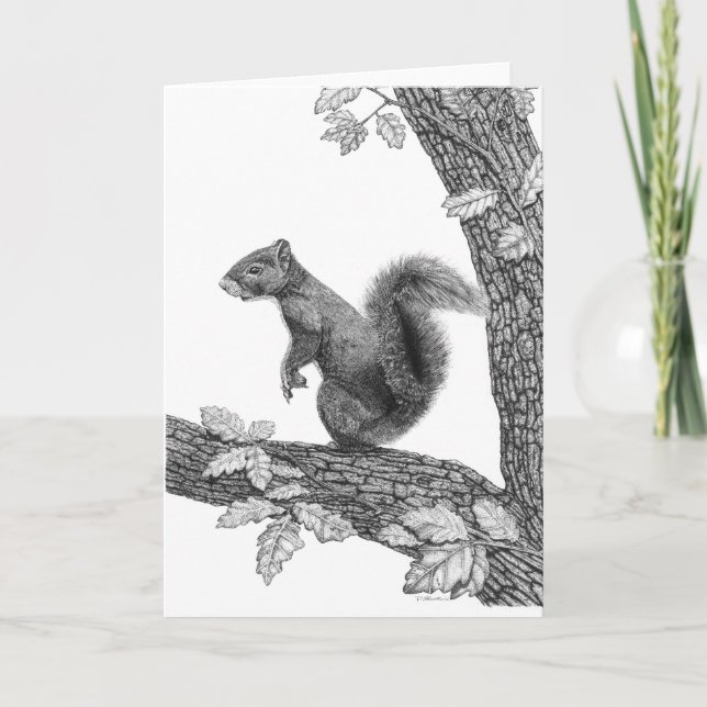 M. Squirrel - carte vierge de note (Devant)