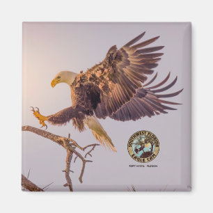 M SWFL Eagle Cam Magnets 2021