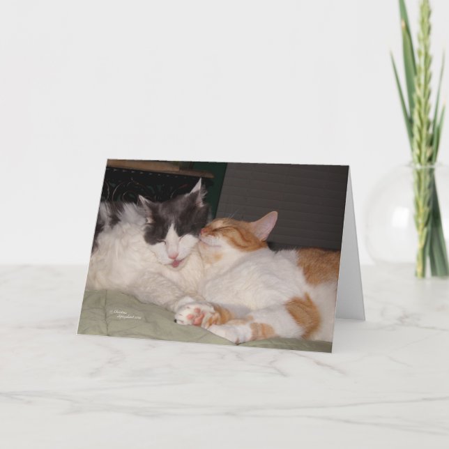 Ma carte de voeux pour chats mignons amis me manqu (Devant)