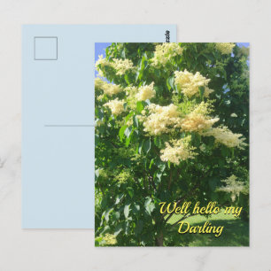 Ma carte postale chérie