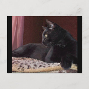 Ma chère, Charlie Carte postale
