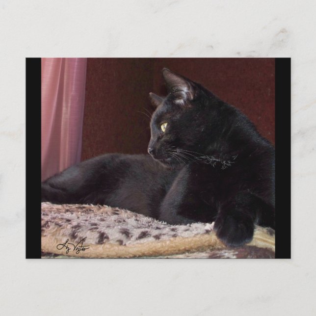 Ma chère, Charlie Carte postale (Devant)