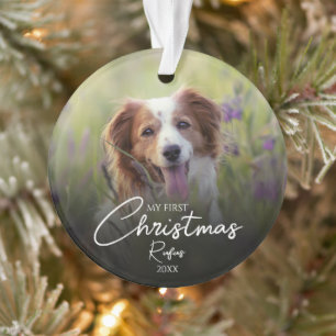 Ma première photo de Noël de compagnie élégante sc