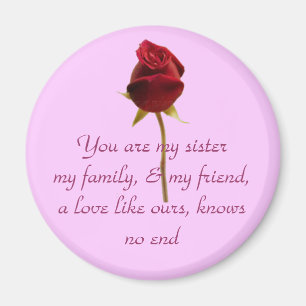 Ma soeur, mon aimant d'ami