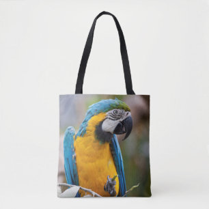 Macao bleu et jaune sur le sac d'impression
