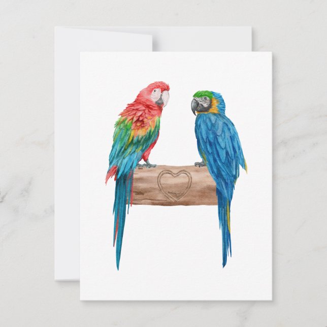 Macaw Bird Parrot Lover Watercolor (Devant)