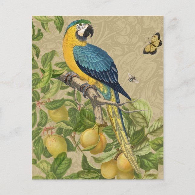 Macaw Blue Jaune Tropical Jungle Antique (Devant)