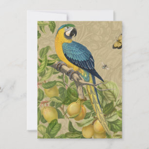 Macaw Blue Jaune Tropical Jungle Antique