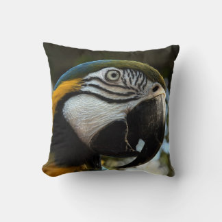 Macaw Gold bleu visage gros Coussin