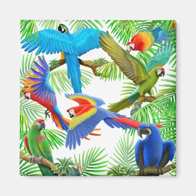 Macaw Jungle Magnet (Devant)