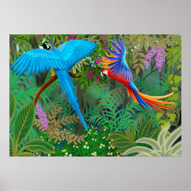Macaw Jungle Poster (Devant)
