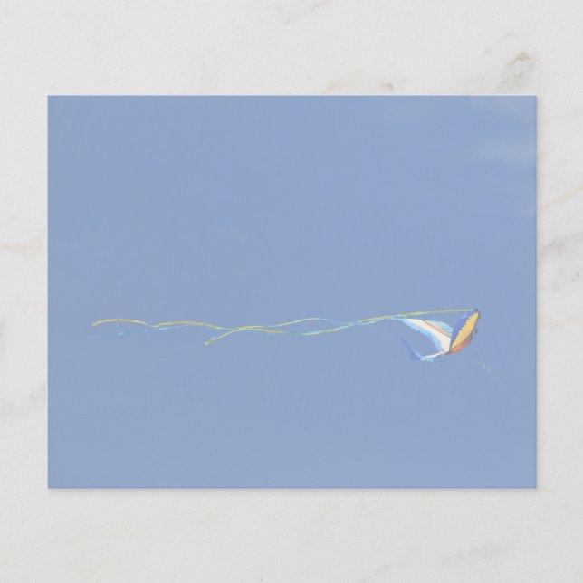 Macaw Kite (Devant)