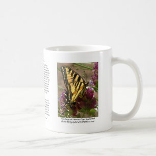 Machaon de tigre avec la tasse de café sage rose