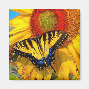 Machaon oriental de tigre, aimant
