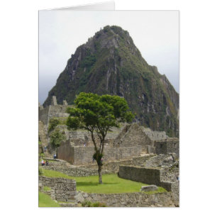 machu picchu