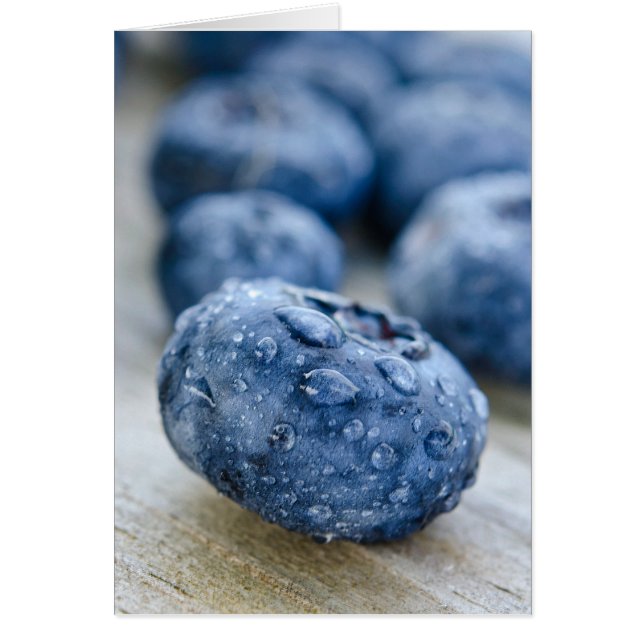 Macro bleuet (Devant)