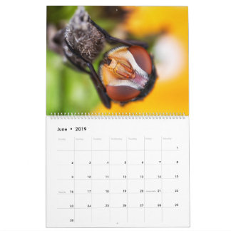 Macro calendrier de photographie de 2019 beautés