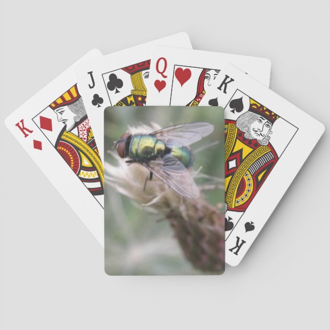 Macro cartes de jeu de mouche verte de bouteille (dos)