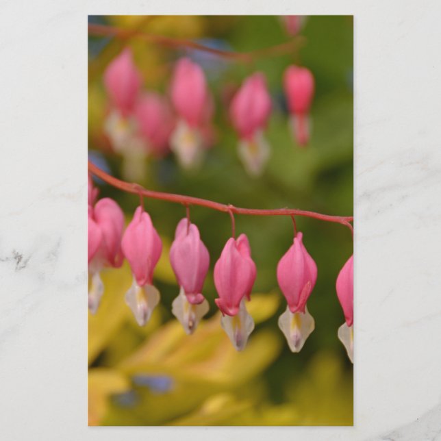 Macro Coeurs saignants (Devant)