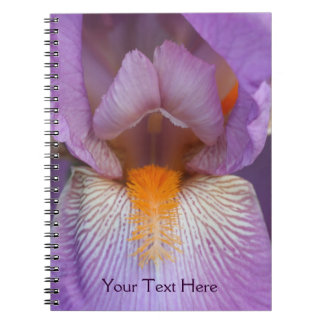 Macro Iris Petals Carnet de la nature