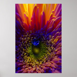 macro photo poster floral feu et eau DE 8.99