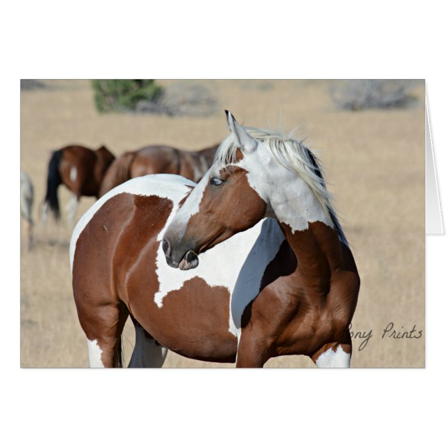 Madame Braveheart Card (Devant horizontal)