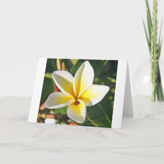 Madame Bug avec la carte de voeux de Plumeria