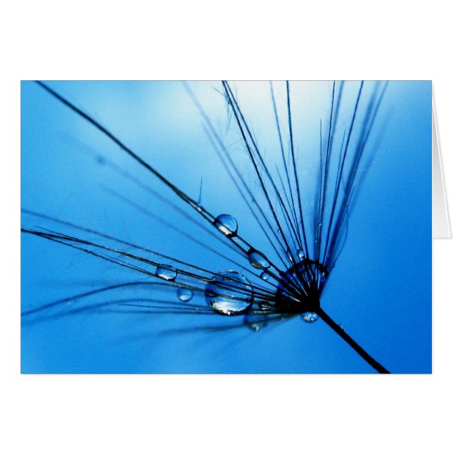 Madame Sings The Blues Card (Devant horizontal)