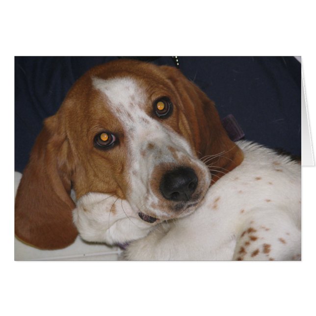 Maddy May (Devant Horizontal)