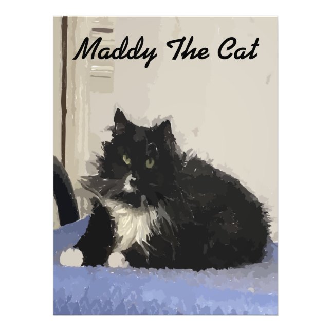 Maddy The Cat Poster Photo (Devant)