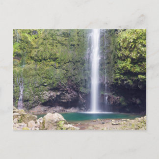 Madeira - Levada Do Caldeirao Verde carte postale