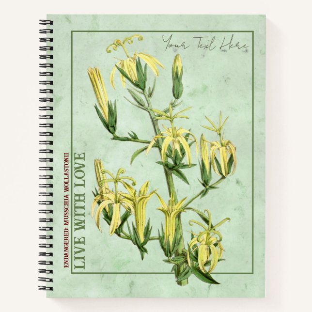Madeiran Marvel : Carnet Musschia wollastonii (Devant)