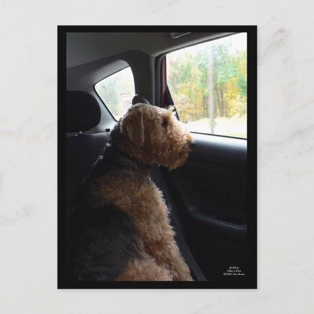 Madeleine prend une carte postale Drive (Devant)