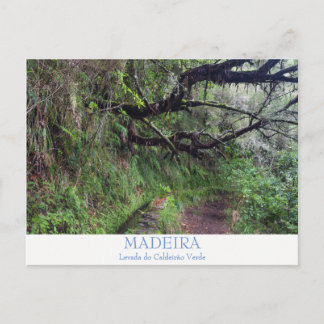 Madère - Caldeirao Verde carte postale avec texte