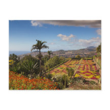 Madère - Jardin botanique de Funchal carte postale