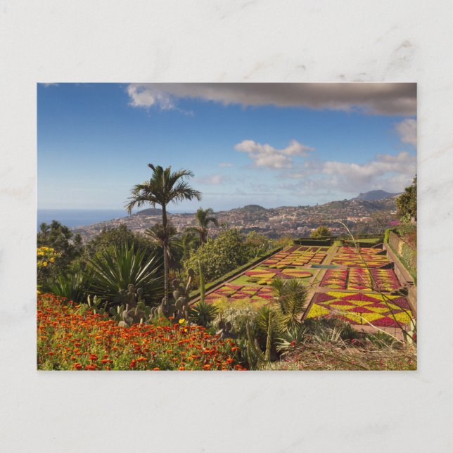 Madère - Jardin botanique de Funchal carte postale (Devant)